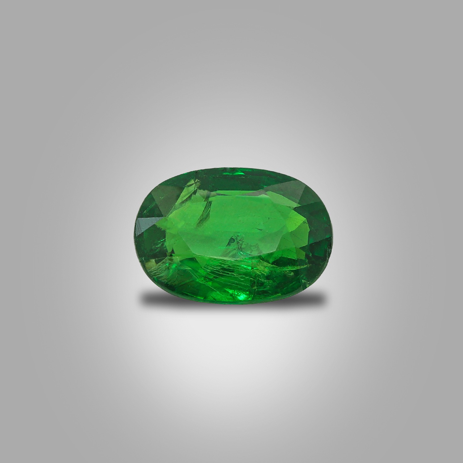 1.20 Carat Tsavorite Garnat — view 1