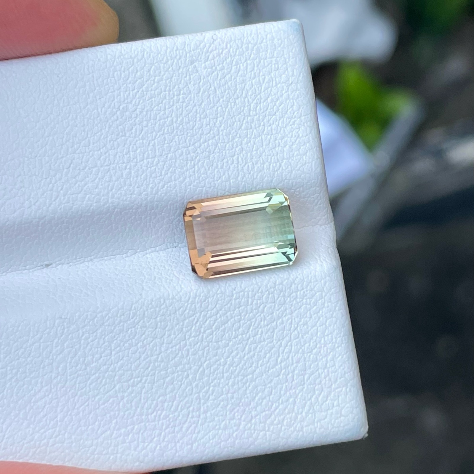 3.75 Carats Natural Bicolour Tourmaline — view 2