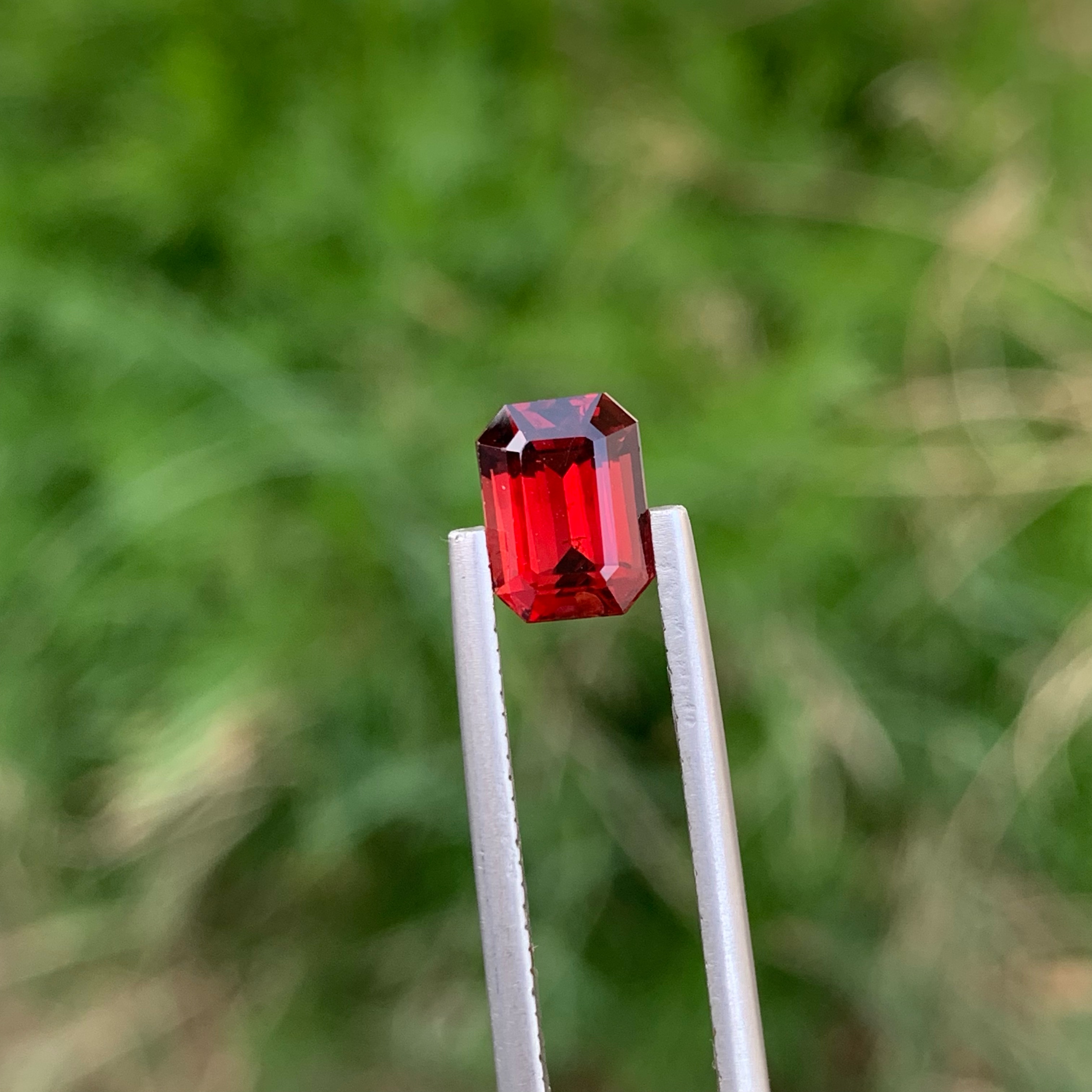 Rhodolite Red Garnet — view 4