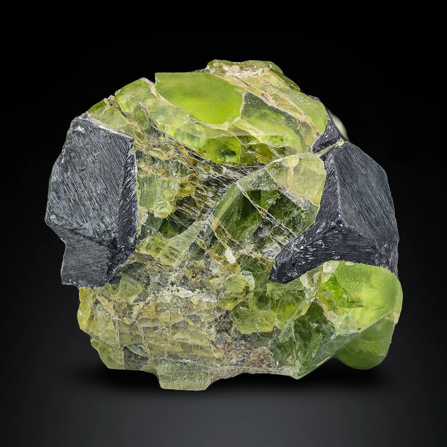 Rare Combination Of Contrasting Black Magnetite Crystals On Peridot From Pakistan