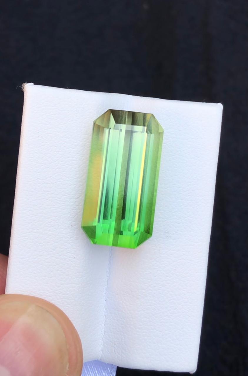 27.66 Carats Bi-Color Tourmaline from Afghanistan Loose Gemstone — view 1