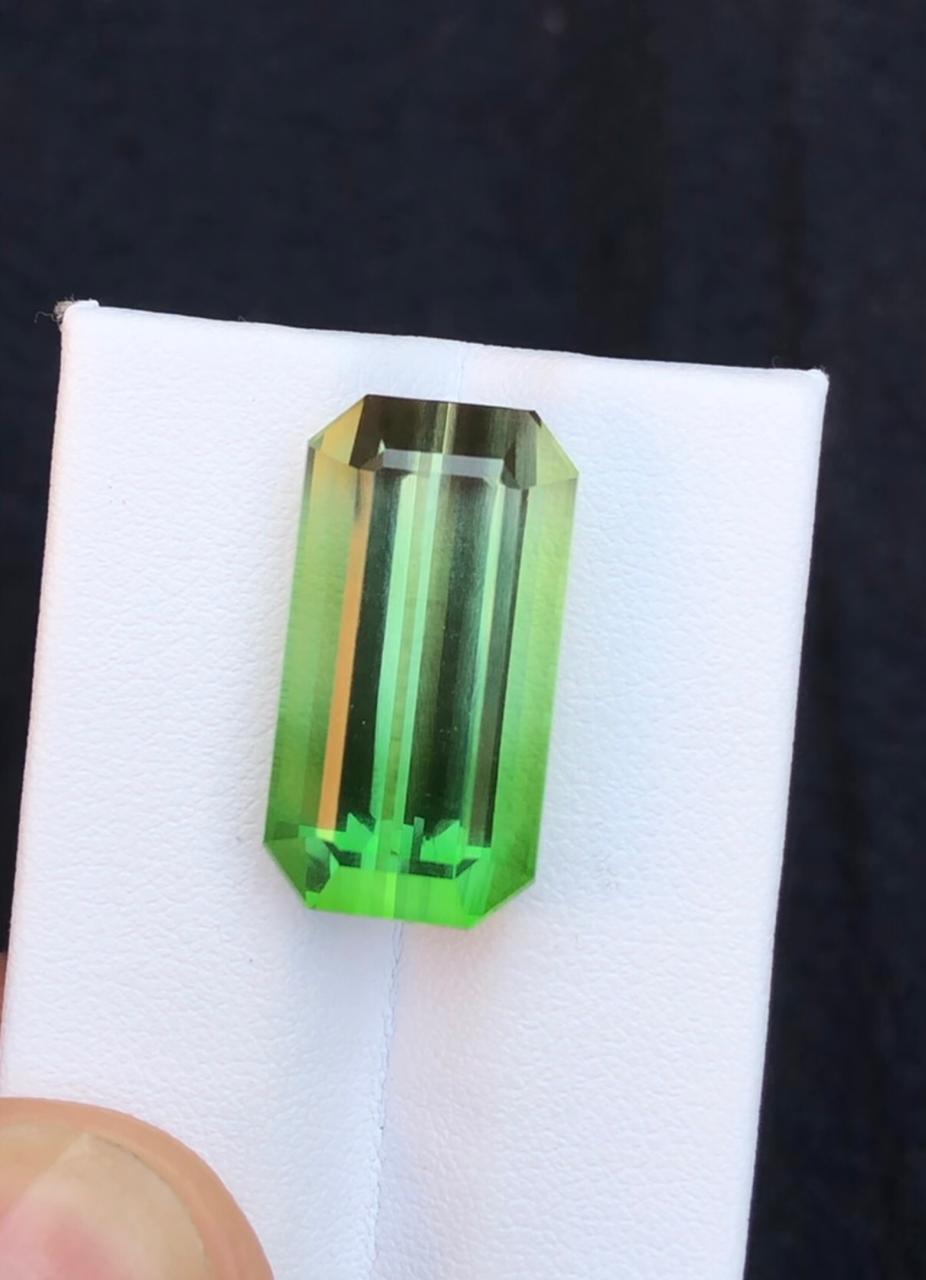 27.66 Carats Bi-Color Tourmaline from Afghanistan Loose Gemstone — view 2