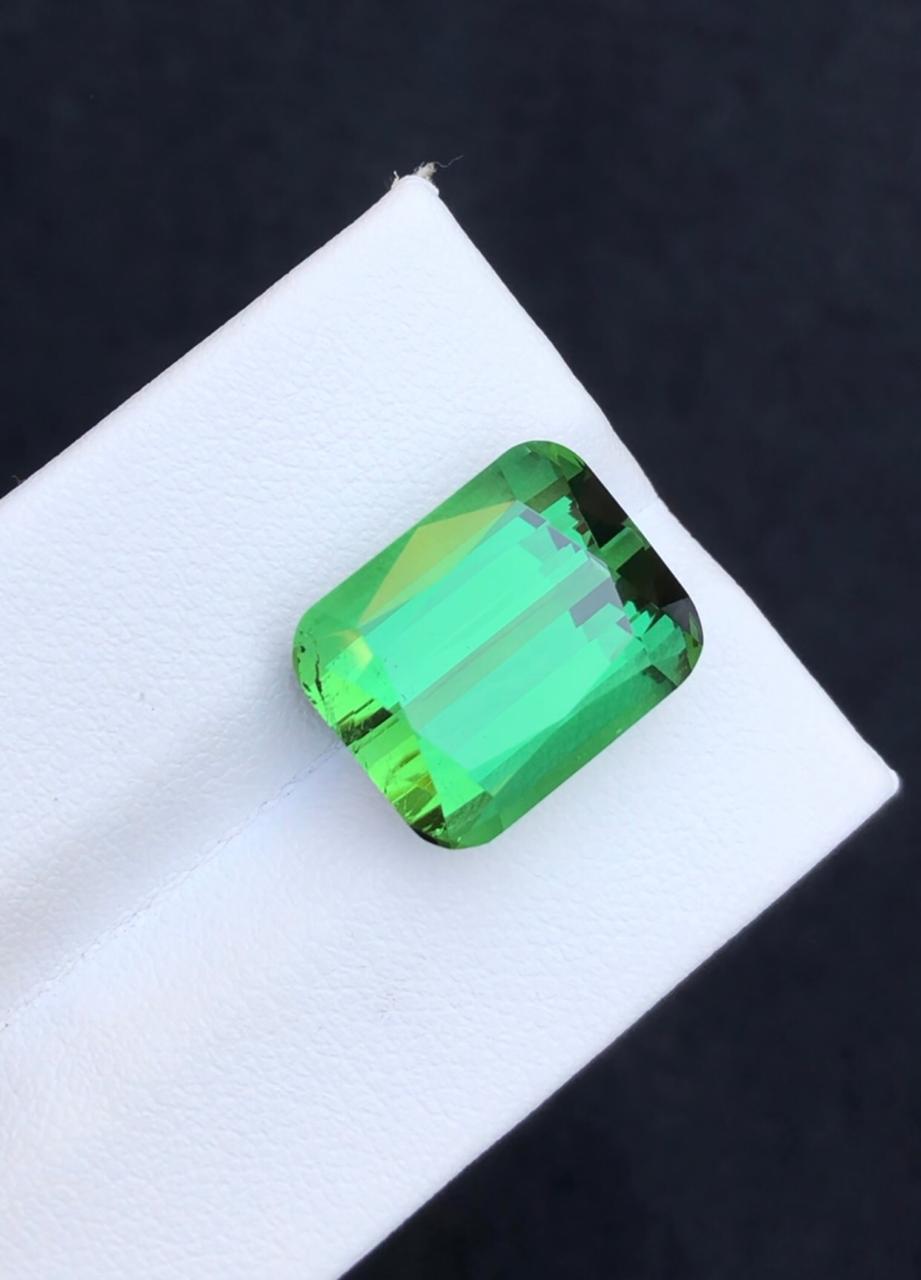 13.90 Carats Green Tourmaline from Afghanistan Loose Gemstone