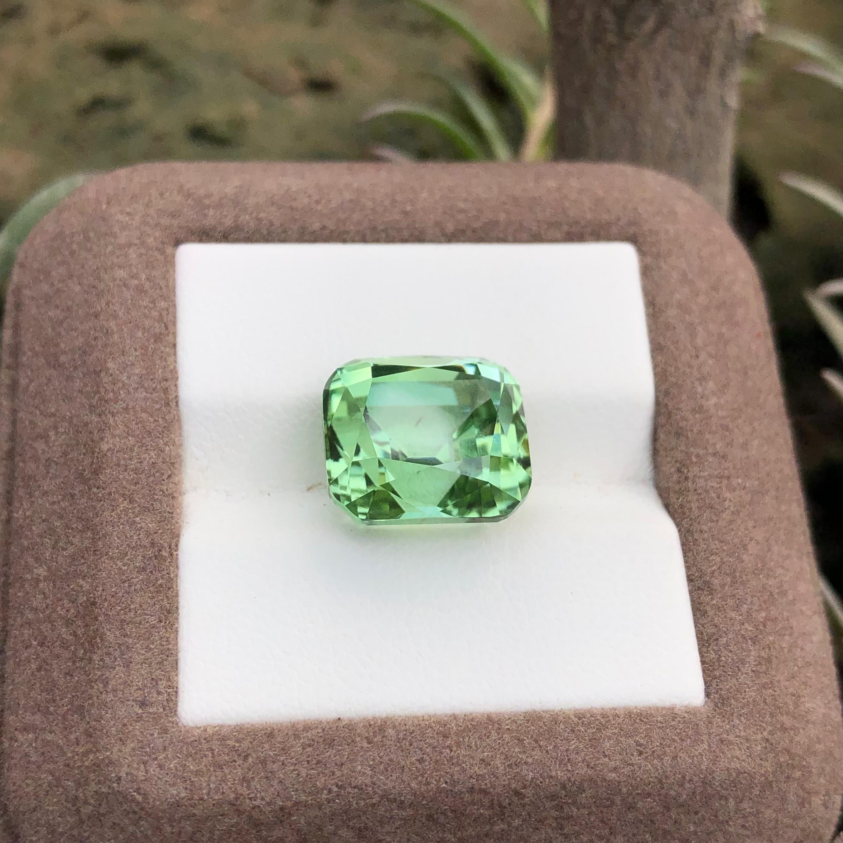 11.75 carats Mint Green Tourmaline Loose Gemstone from Afghanistan — view 2