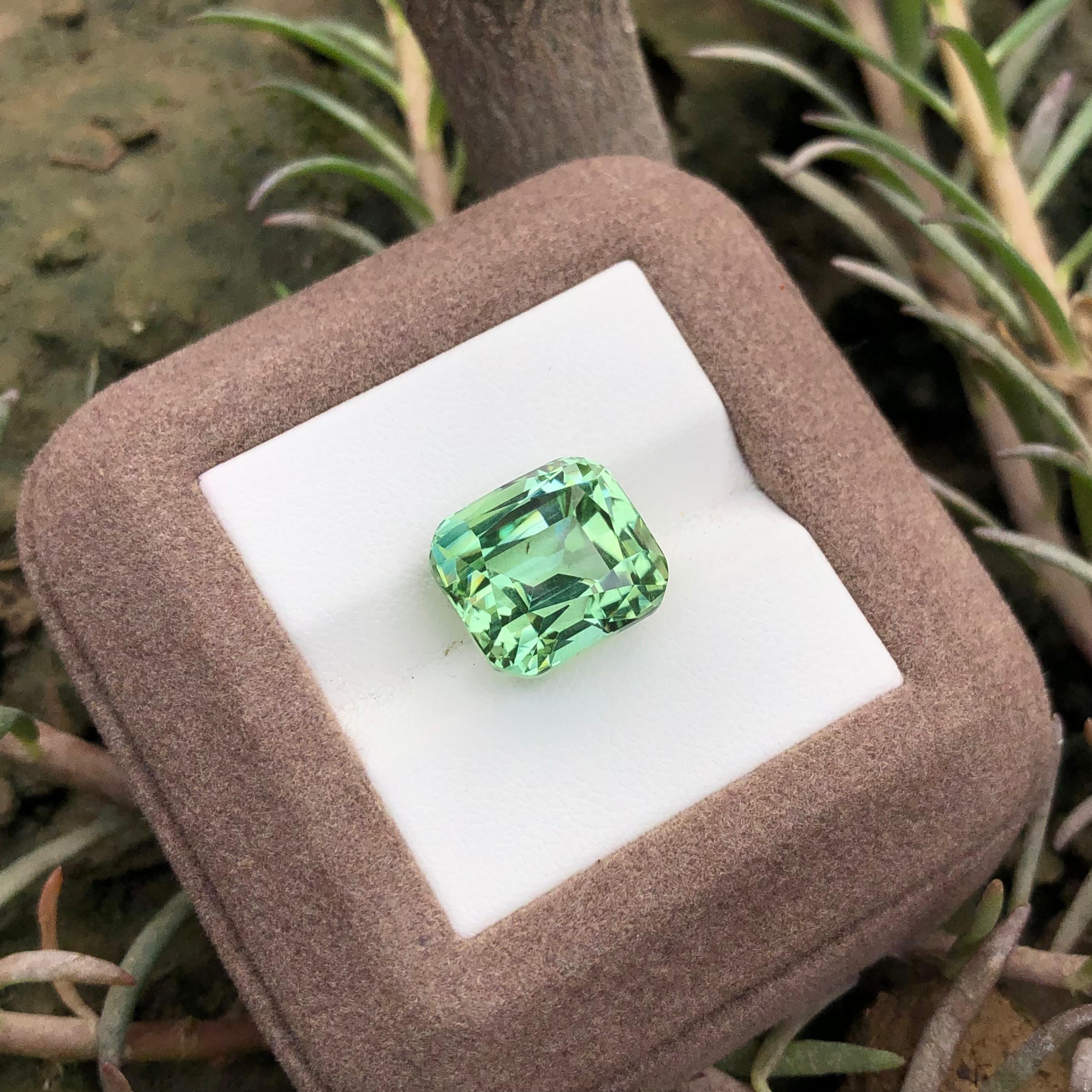 11.75 carats Mint Green Tourmaline Loose Gemstone from Afghanistan — view 3