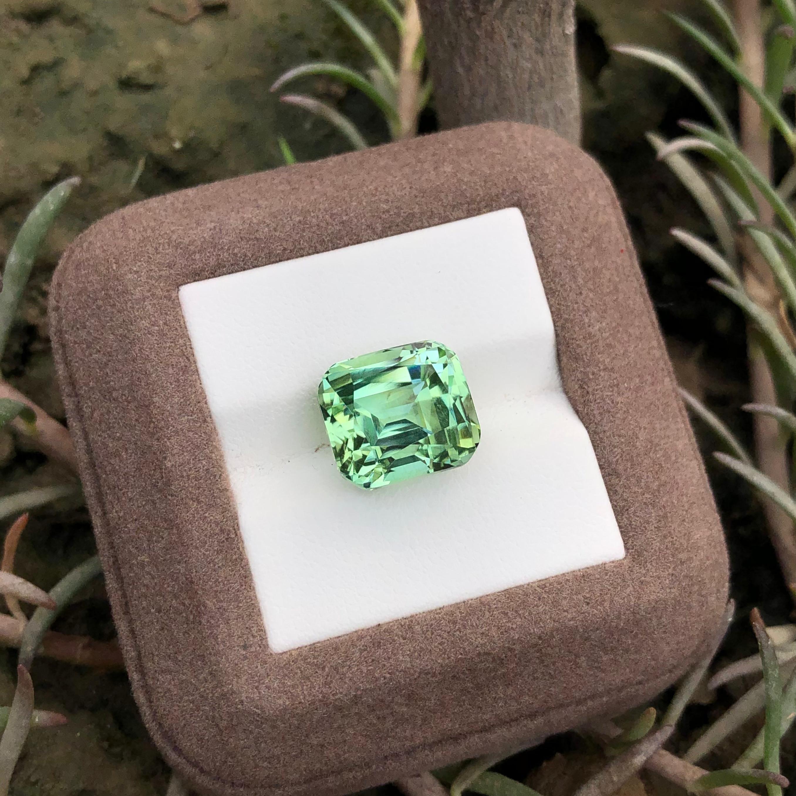 11.75 carats Mint Green Tourmaline Loose Gemstone from Afghanistan — view 4