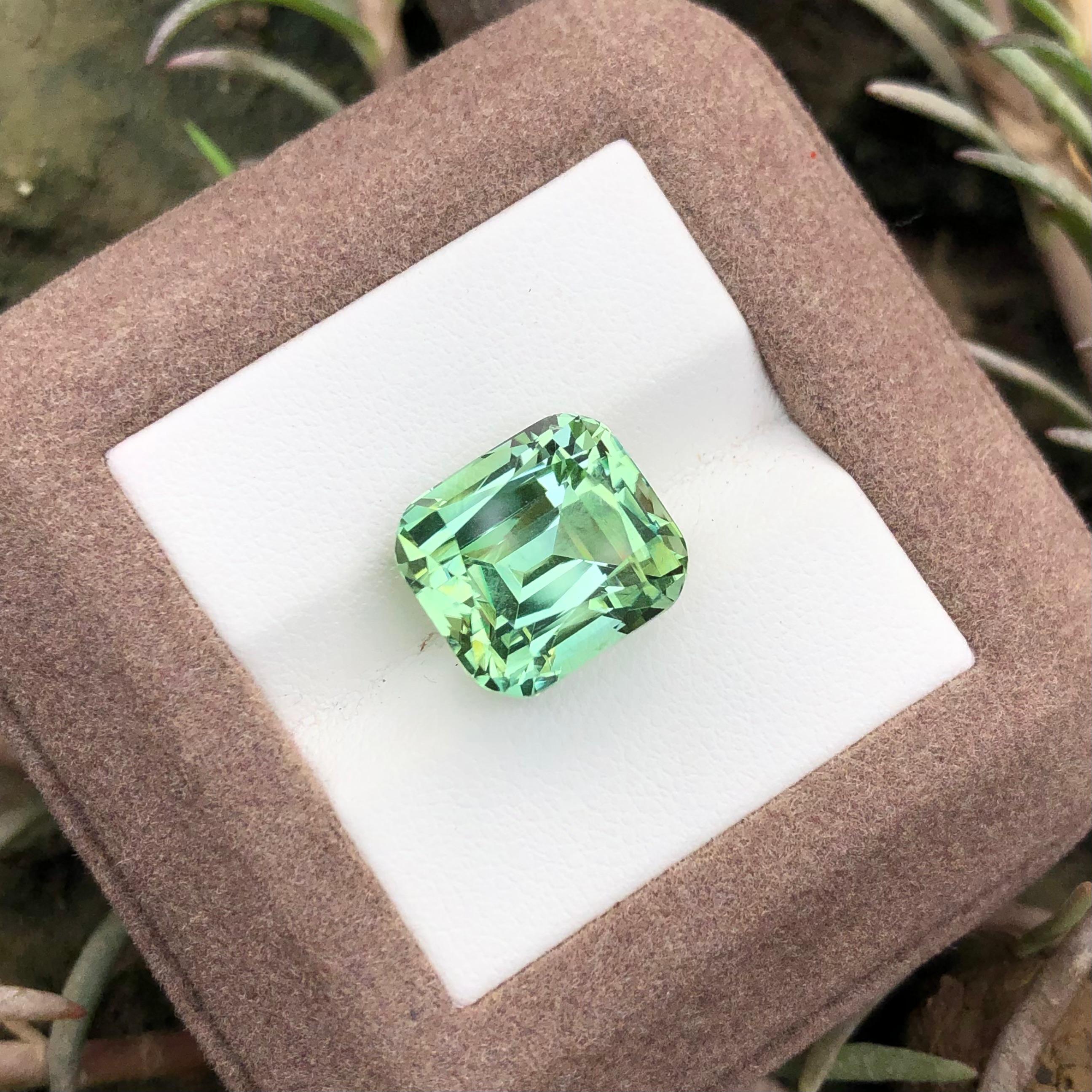 11.75 carats Mint Green Tourmaline Loose Gemstone from Afghanistan — view 5