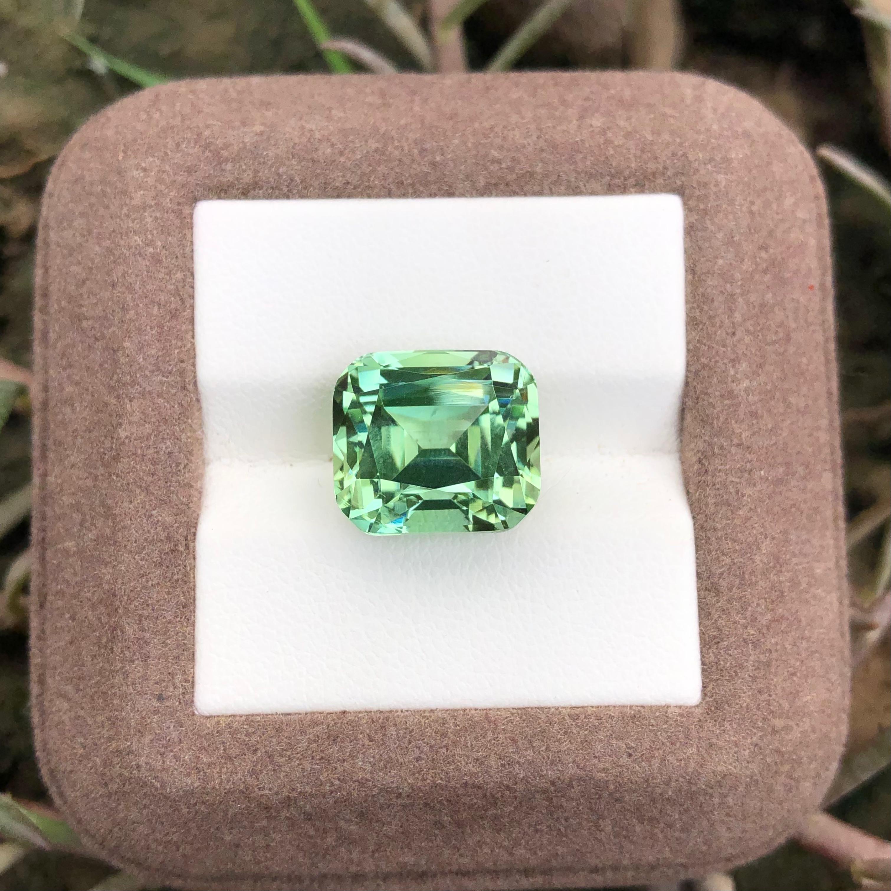 11.75 carats Mint Green Tourmaline Loose Gemstone from Afghanistan — view 6