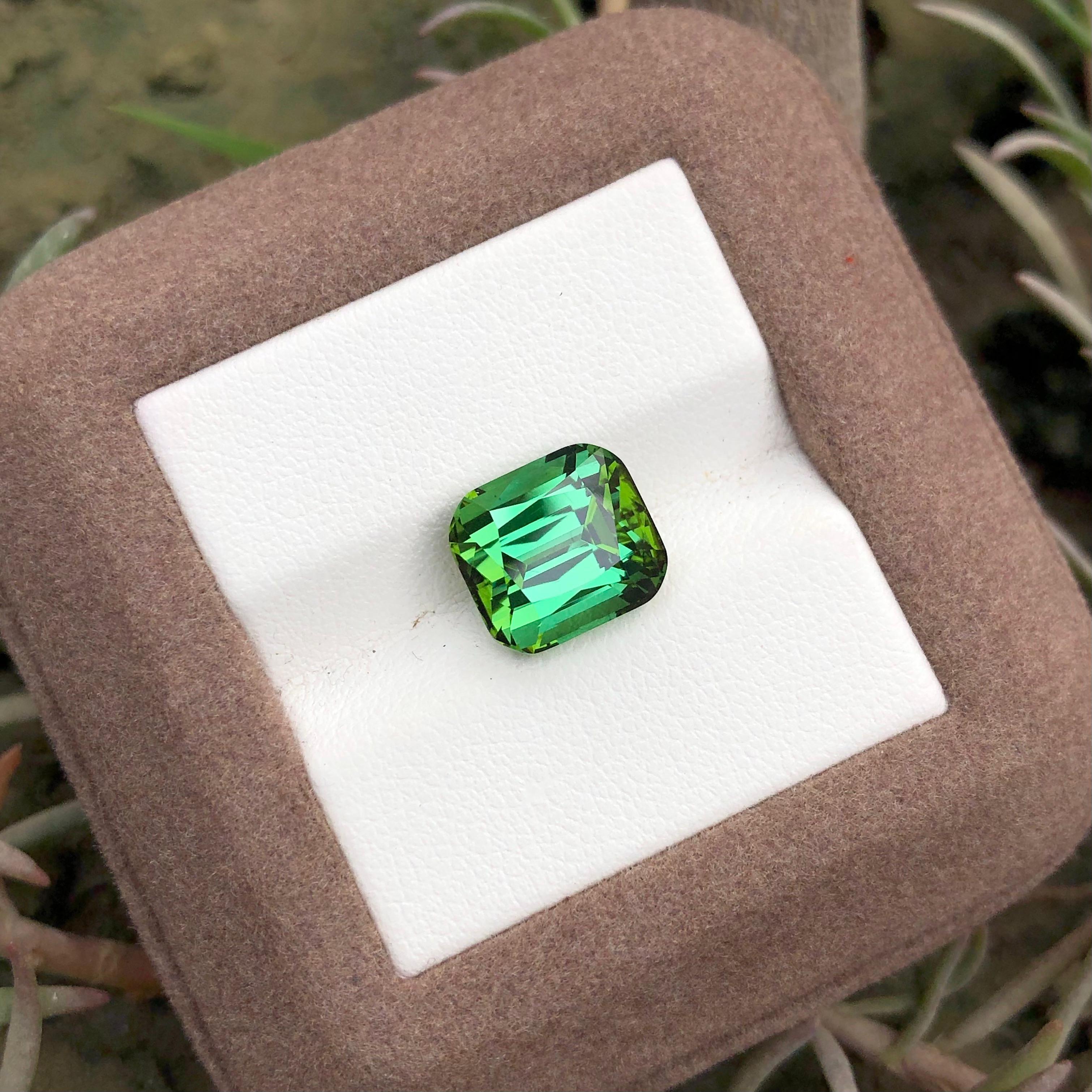 5.75 carats Bluish Green Tourmaline Loose Gemstone from Afghanistan — view 2