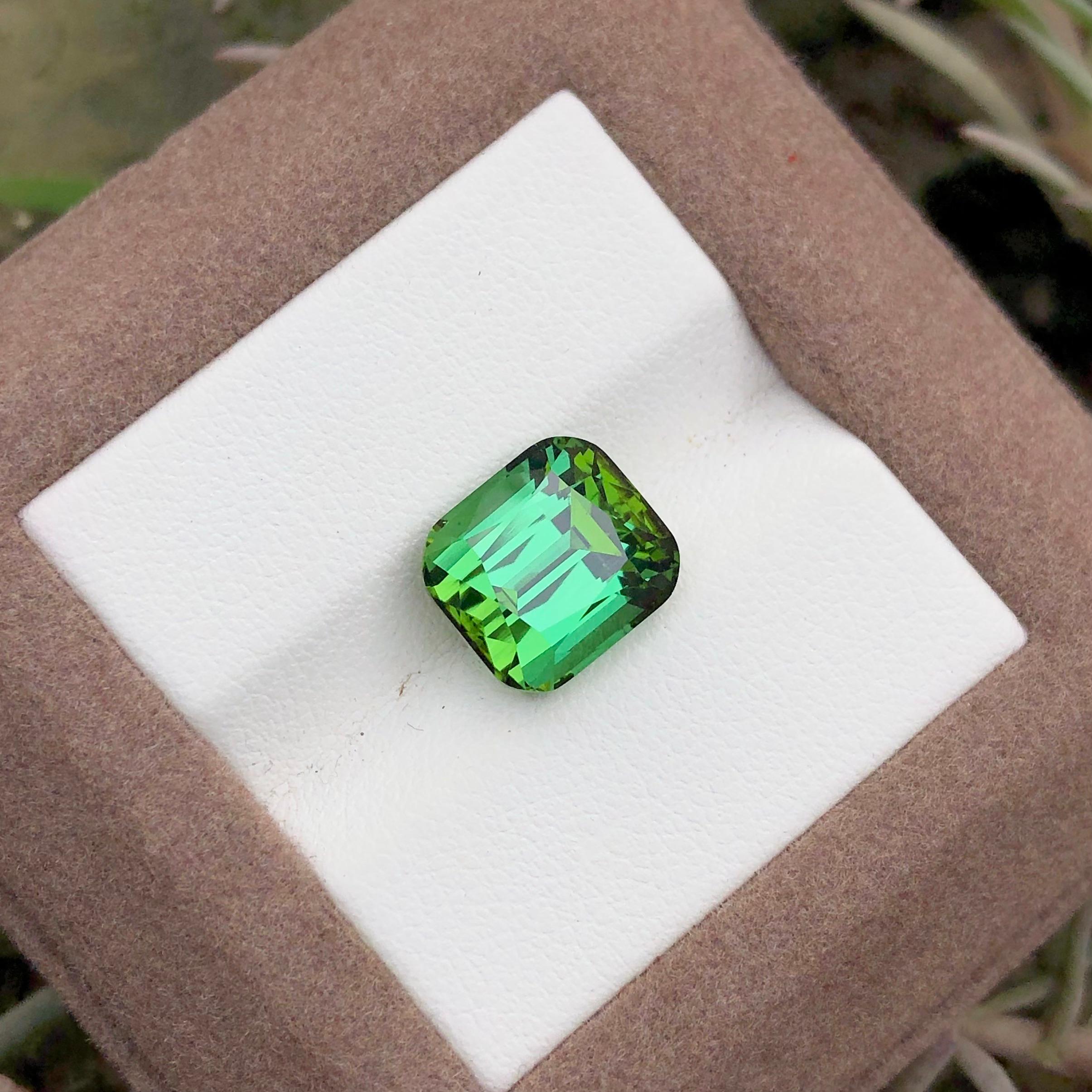 5.75 carats Bluish Green Tourmaline Loose Gemstone from Afghanistan — view 3