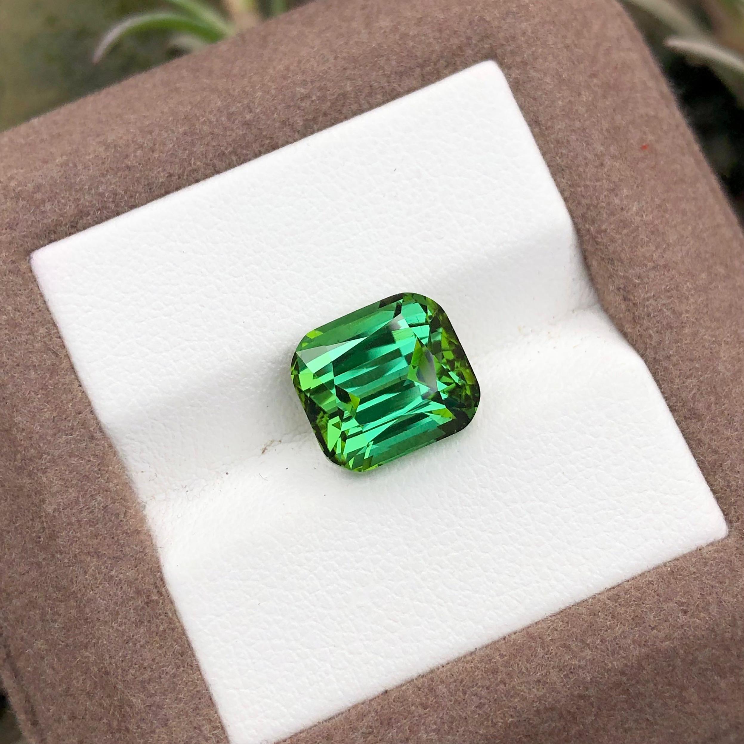 5.75 carats Bluish Green Tourmaline Loose Gemstone from Afghanistan — view 4
