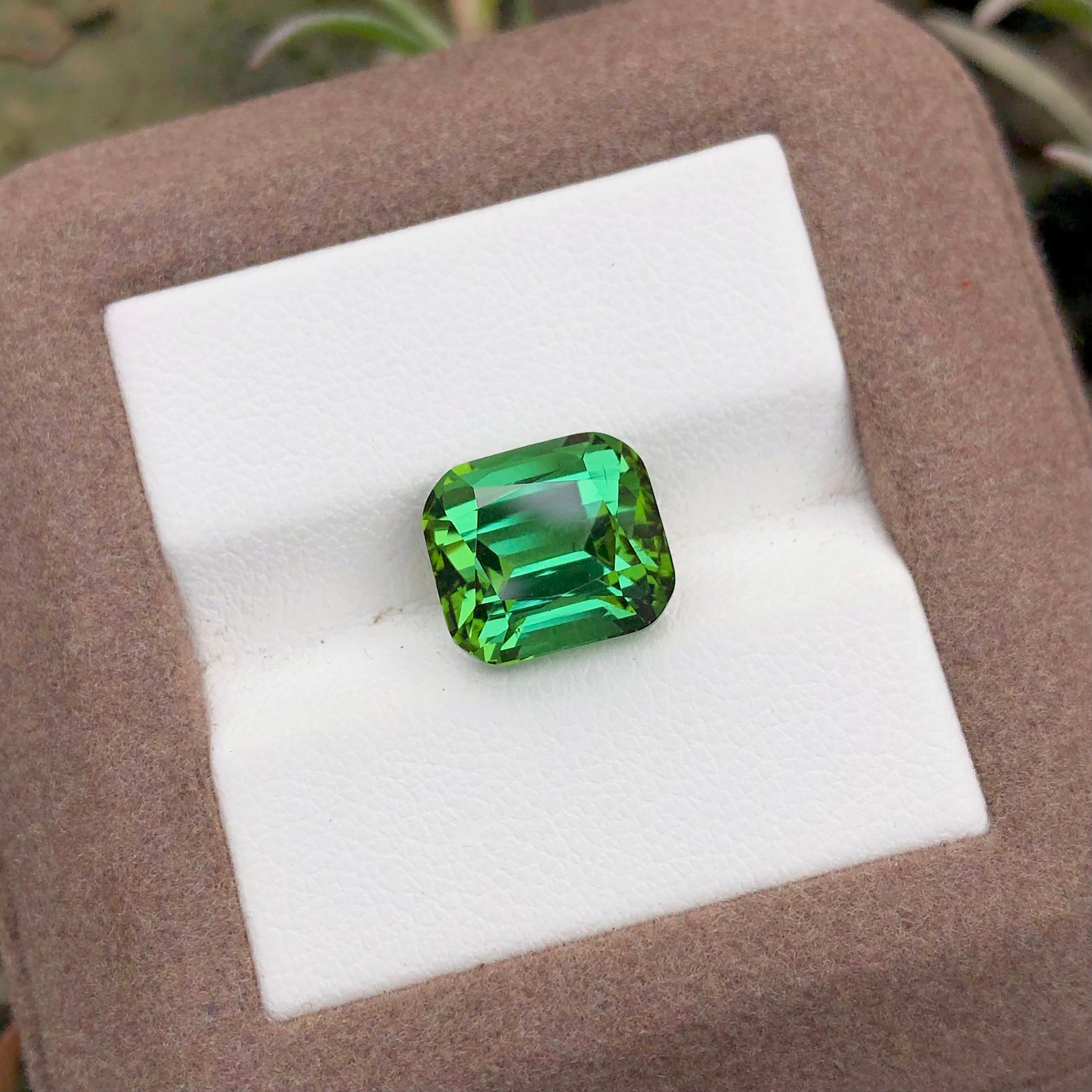 5.75 carats Bluish Green Tourmaline Loose Gemstone from Afghanistan — view 5