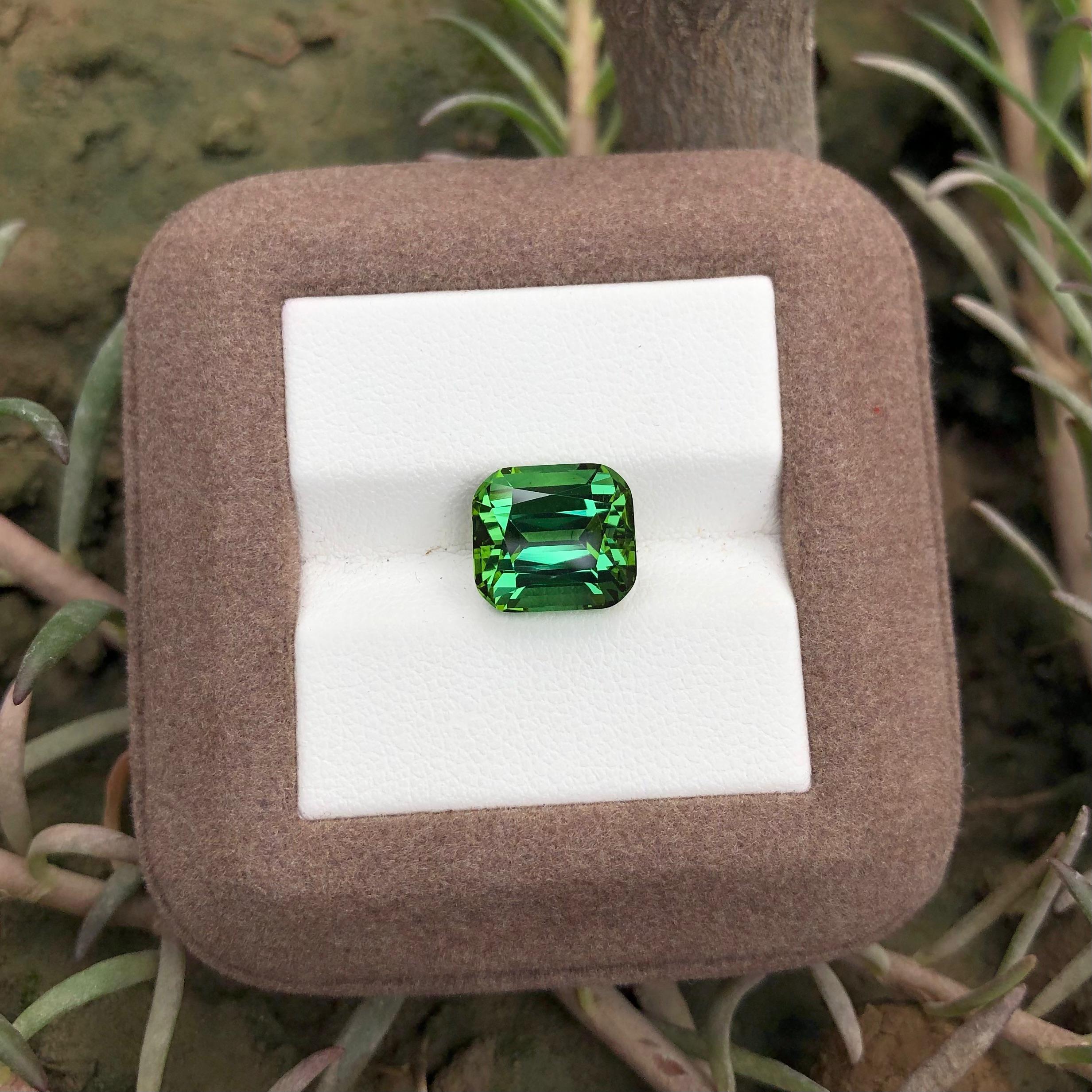 5.75 carats Bluish Green Tourmaline Loose Gemstone from Afghanistan — view 6