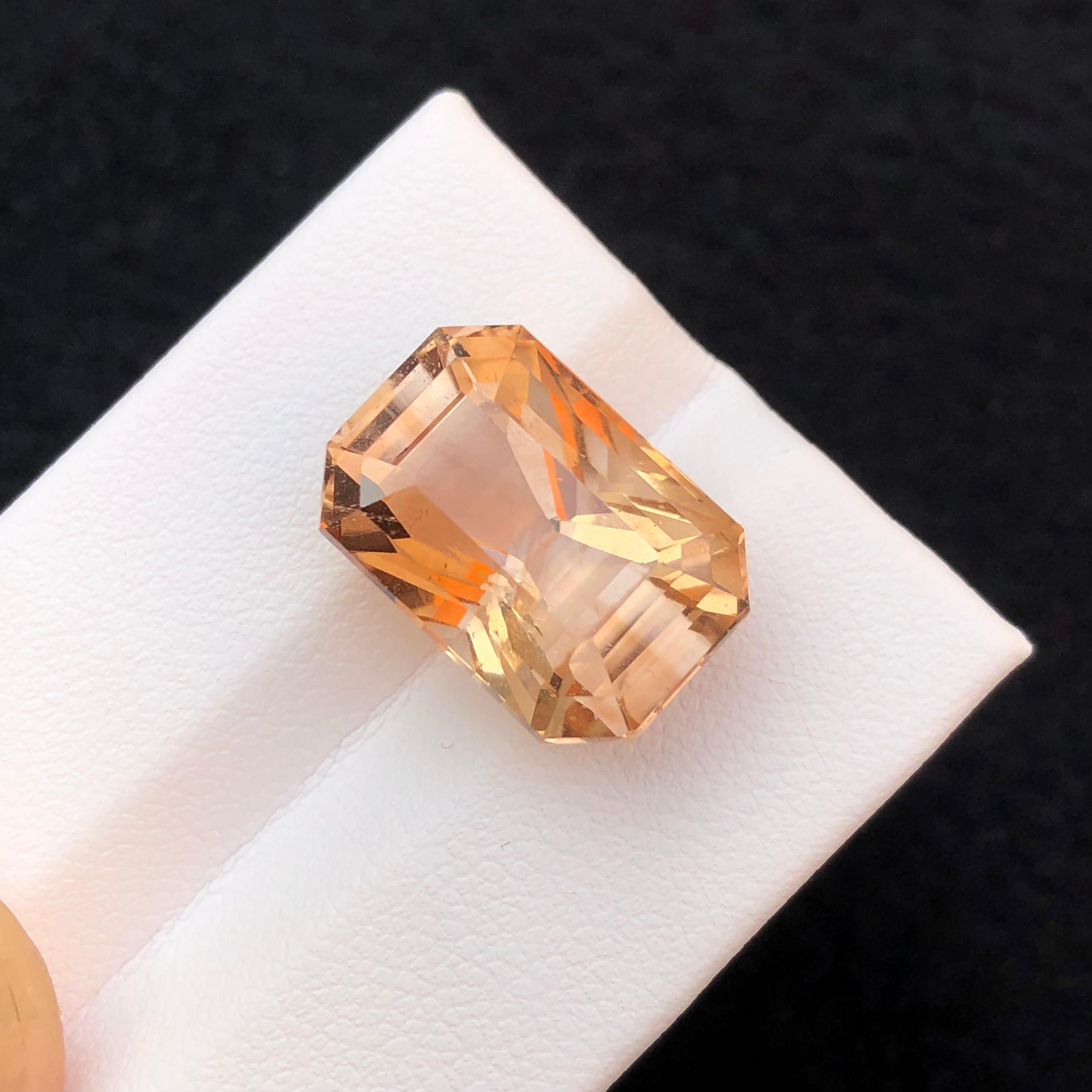16.28 Carat Octagonal Topaz Gemstone, Pakistan Origin — view 1