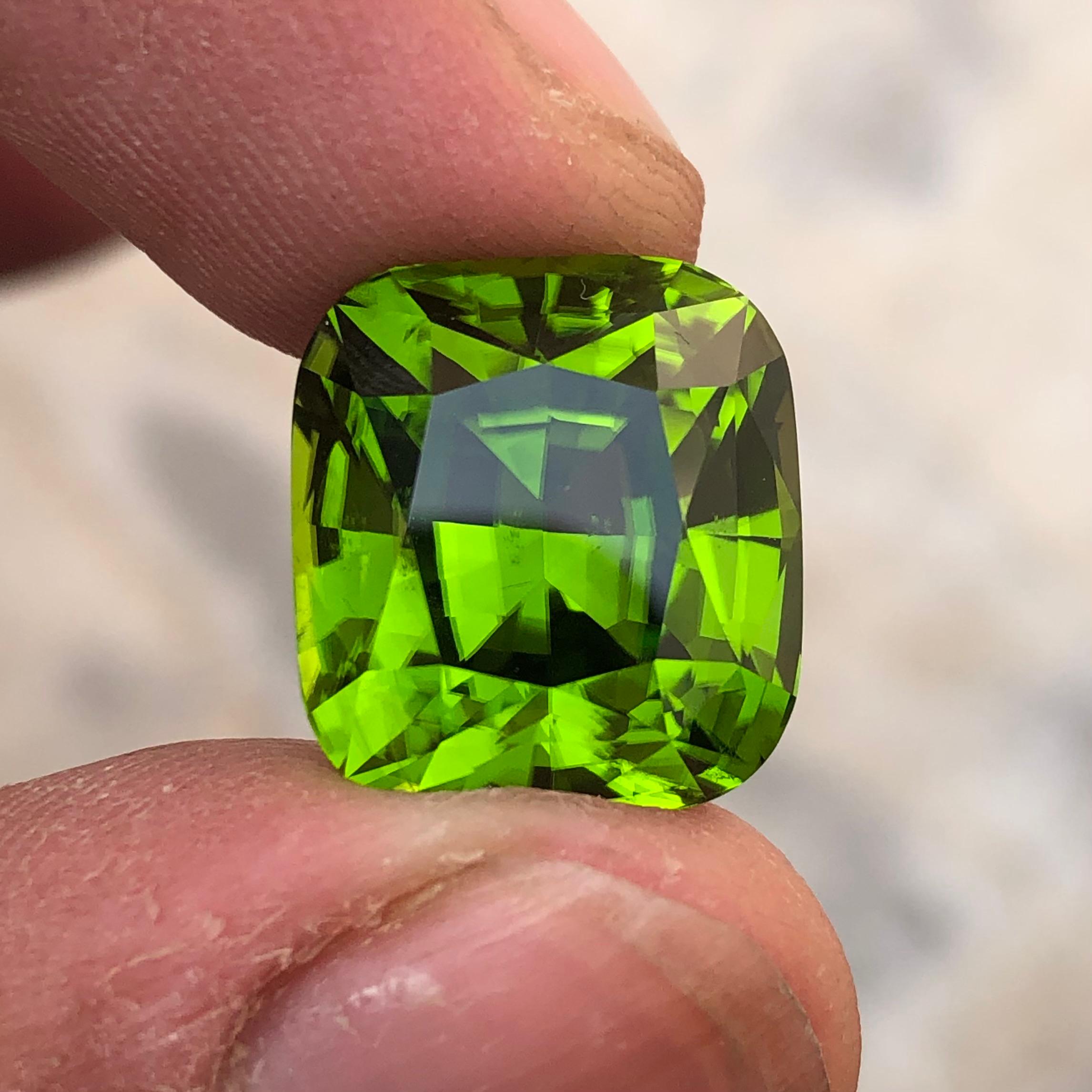 24.57 Carats Green Peridot from Pakistan Loose gemstone